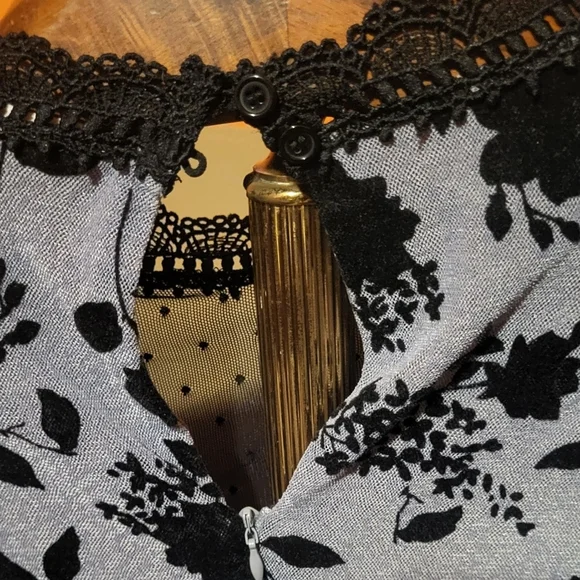 Entro Gray Burnout Velvet Long Sleeve Lace Collar Babydoll Dress Size Large Y2K - Picture 4 of 7